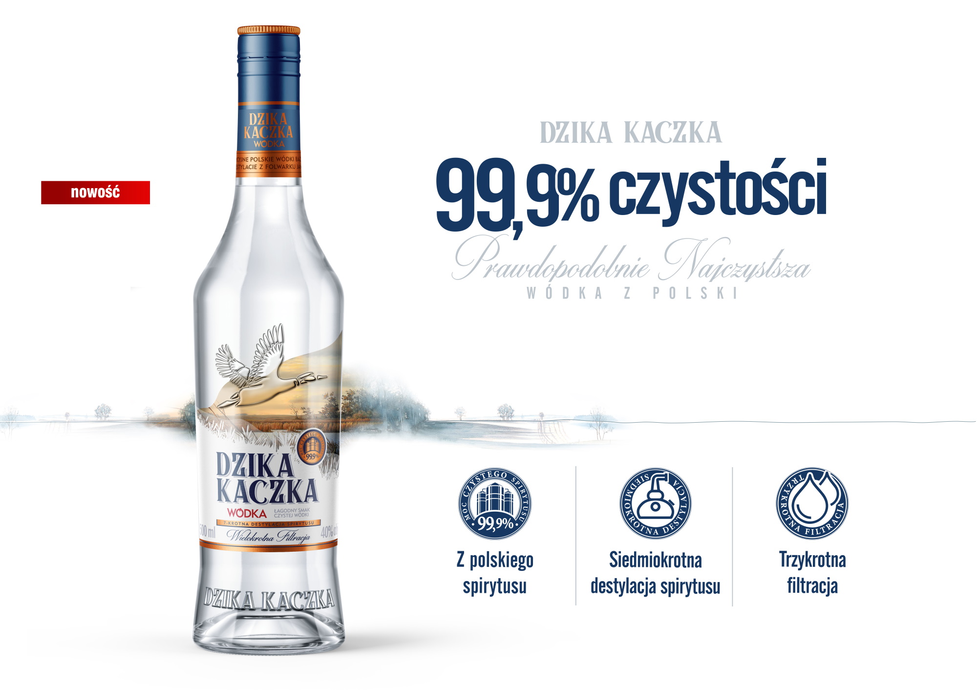 Strona Główna